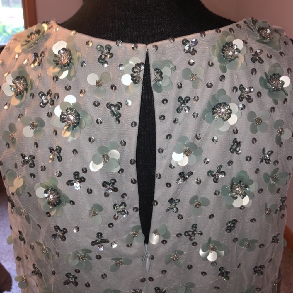 Adrianna Papell Frosted Sage Beaded Evening Gown - Picture 3 of 6